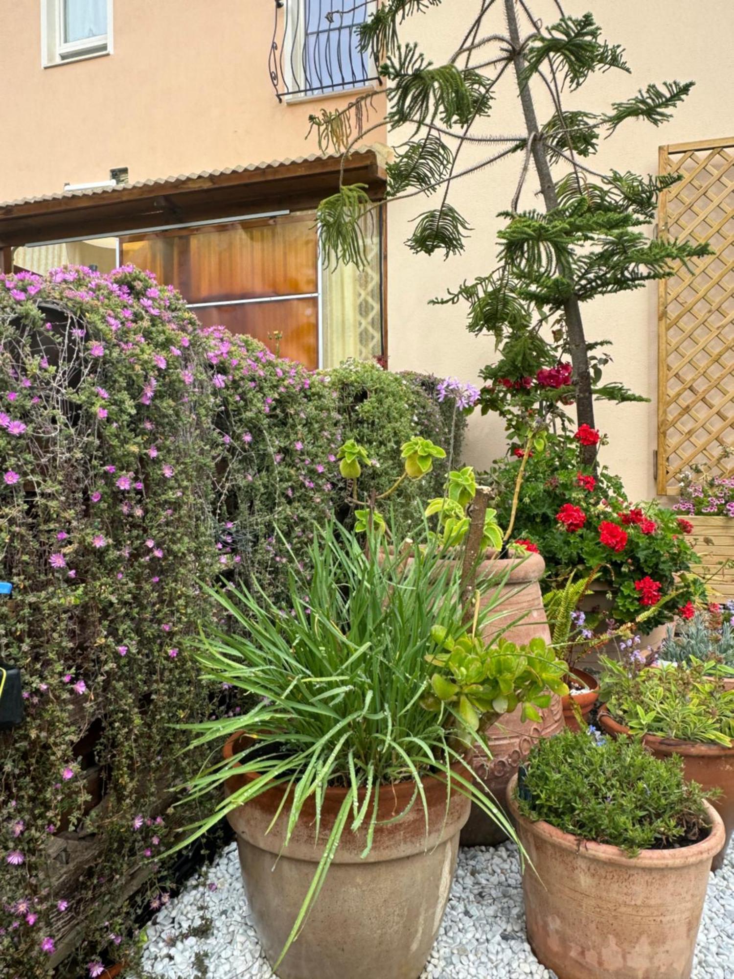 Villa Dei Fiori - Casa Vacanza Capoterra Zewnętrze zdjęcie